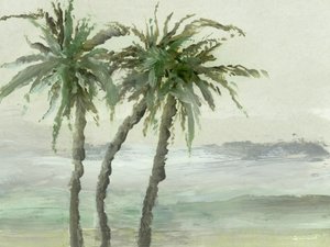 Windige Palmen