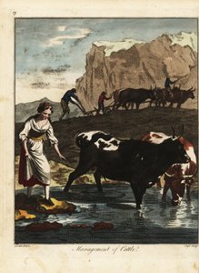 Melkerin und Bauern mit Vieh