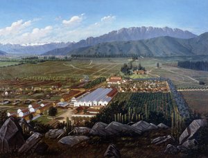 Der Weinberg von Erranzuriz-Panquehue, Chile, 1896 von Daniel Escobar
