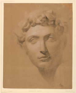 Zeichnung, Männlicher Kopf von einem Gipsabdruck, 1840 von Daniel Huntington