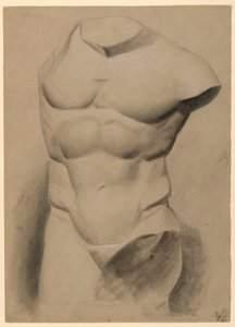 Zeichnung, Männlicher Torso von einem Gipsabdruck, 1840 von Daniel Huntington
