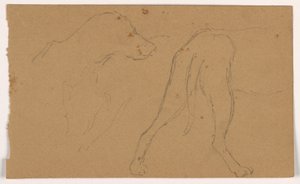 Milo (ein Pointer), Kopf und Körper von Daniel Huntington