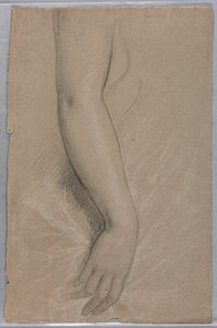 Zeichnung, Frau Rutherford B Hayes, 1880 von Daniel Huntington