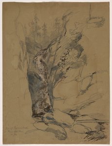 Fall von Reichenbach