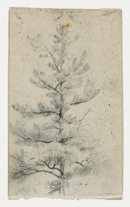 Skizze eines Baumes von Daniel Huntington