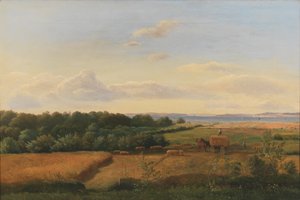 Eine Landschaft auf Fünen zur Erntezeit mit Wedellsborghoved im Hintergrund