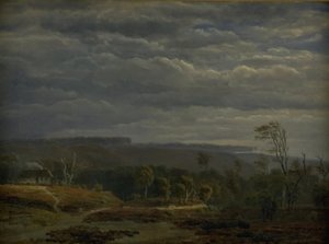 Ansicht einer bewaldeten Landschaft in Jütland