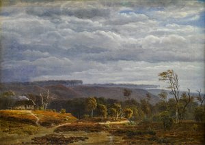 Ansicht einer bewaldeten Landschaft in Jütland