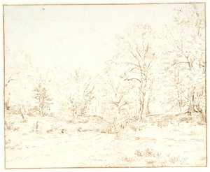 Ein Waldweg von Dankvart Dreyer