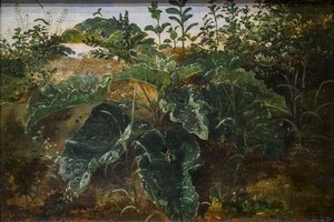 Vordergrundstudie mit Ampferblättern von Dankvart Dreyer