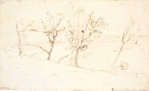Jütländische Landschaft. Seen zwischen Hügeln