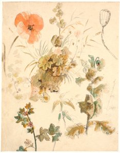 Studien verschiedener Blumen, darunter Mohnblumen von Dankvart Dreyer