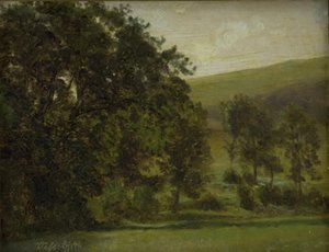 Bäume in Vissenbjerg, Fünen