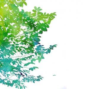 Abstrakte Aquarellblätter