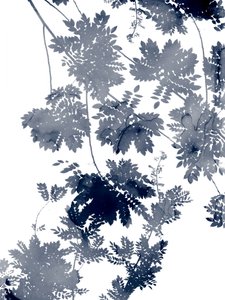 Tiefe Ökologie 1 Blau-Grau von Danushka Abeygoda