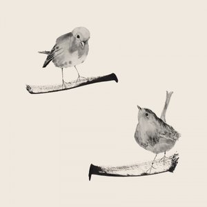 Zwei Sanfte Vögel