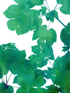 Lebendige Grüne Blätter