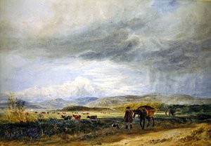 Llugwy-Wiesen von David Cox