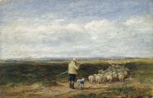 Der Hirte, Rückkehr der Herde