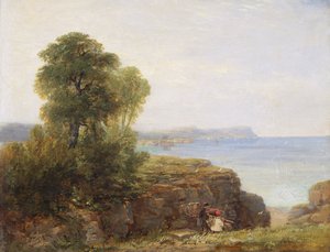 Cardigan Bay