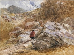 Gebirgspass bei Bettws-y-Coed von David Cox the elder