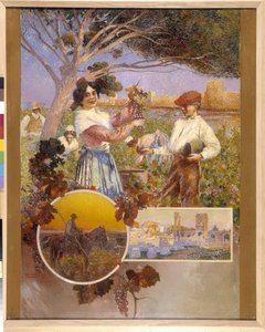 Aigues-Mortes, Arles, die Camargue: eine junge Frau zeigt eine schöne Traube, die sie gerade aus einem Weinberg gepflückt hat von David Dellepiane