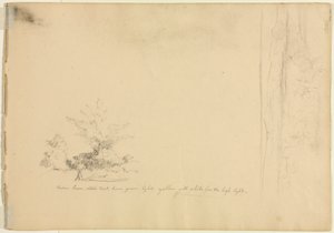 Landschafts- und Baumstudien (Rückseite) von David Johnson