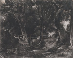 Ein Tal, Helmingham Park, Suffolk, 1830 von David Lucas