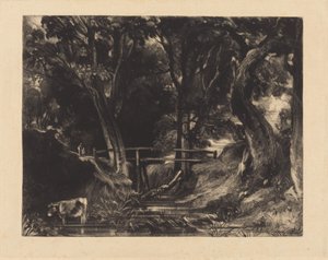 Ein Tal, Helmingham Park, Suffolk von David Lucas after John Constable