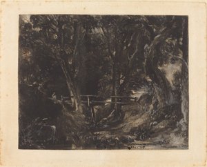 Ein Tal im Helmingham Park, Suffolk von David Lucas after John Constable