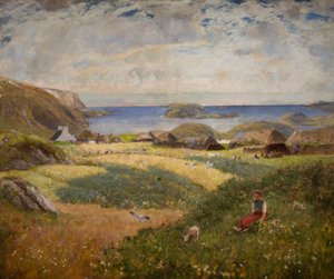 Höfe auf der Insel Lewis