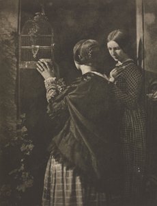 Camera Work: Der Vogelkäfig, 1909
