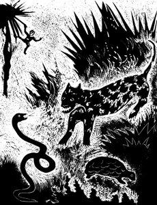 Illustration aus dem Buch 