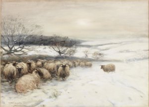 Winter von David T. Robertson