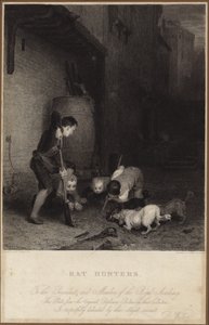 Rattenjäger von David Wilkie