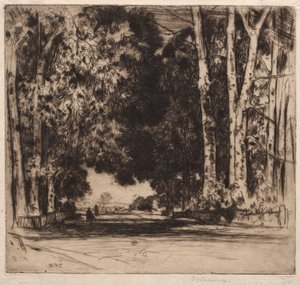 Die Allee von David Young Cameron