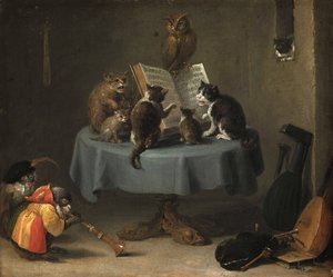 Das Konzert der Katzen
