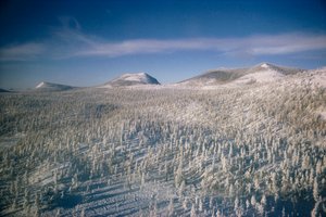Sibirien im Winterlandschaft über Sümpfe und Wälder, bedeckt mit Schnee