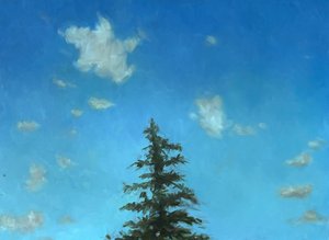 Einsame Kiefer