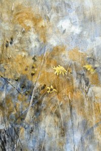 Abstrakte Wiesenblumen von Delphine Devos