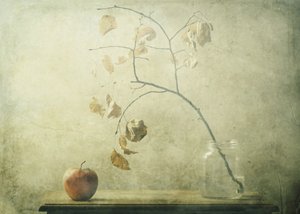 Herbst Stillleben von Delphine Devos