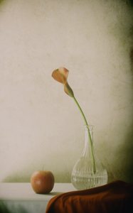 Calla-Lilie und Apfel Stillleben von Delphine Devos