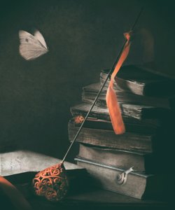 Dunkle Akademie Schmetterling von Delphine Devos