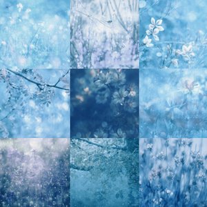 Traumhafte Blaue Botanicals von Delphine Devos