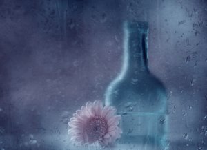 Träumende Regen Gerbera