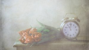 Träumende Tulpen und Zeit von Delphine Devos