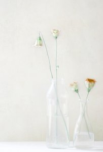 Blasse Blüten im Glas von Delphine Devos