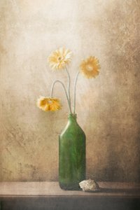 Ruhige Gelbe Blumen