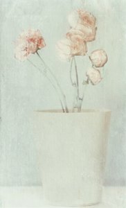 Weiche verblasste Blumen
