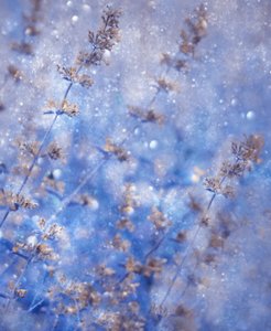 Funkelndes Winterblau